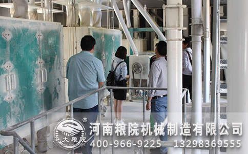 玉米糁加工设备