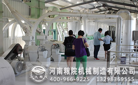 玉米糁加工设备